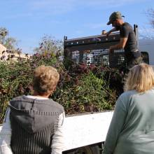 Des plantes et fleurs en quête d’une deuxième vie !