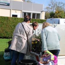 Des plantes et fleurs en quête d’une deuxième vie !