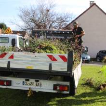 Des plantes et fleurs en quête d’une deuxième vie !