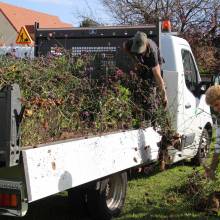 Des plantes et fleurs en quête d’une deuxième vie !