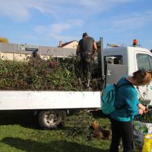 Des plantes et fleurs en quête d’une deuxième vie !