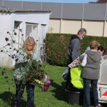 Des plantes et fleurs en quête d’une deuxième vie !