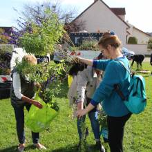 Des plantes et fleurs en quête d’une deuxième vie !