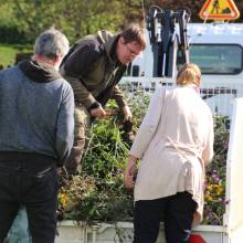 Des plantes et fleurs en quête d’une deuxième vie !