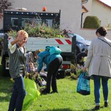Des plantes et fleurs en quête d’une deuxième vie !