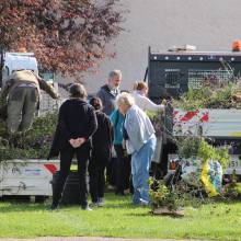 Des plantes et fleurs en quête d’une deuxième vie !