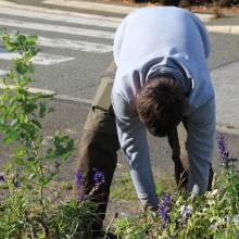 Des plantes et fleurs en quête d’une deuxième vie !