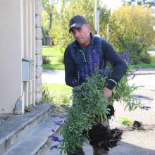 Des plantes et fleurs en quête d’une deuxième vie !