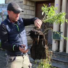 Des plantes et fleurs en quête d’une deuxième vie !