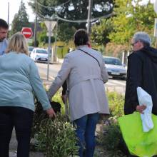 Des plantes et fleurs en quête d’une deuxième vie !