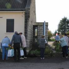 Des plantes et fleurs en quête d’une deuxième vie !