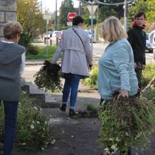 Des plantes et fleurs en quête d’une deuxième vie !
