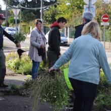Des plantes et fleurs en quête d’une deuxième vie !