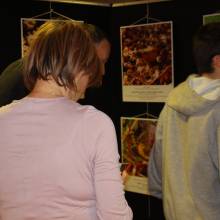 Vernissage du concours photos faune et flore locales