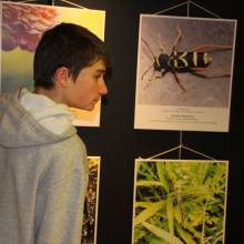Vernissage du concours photos faune et flore locales
