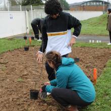 Projet pilote Bosqu'haie