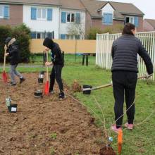 Projet pilote Bosqu'haie