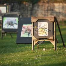 Concours Nature Port Royal 2