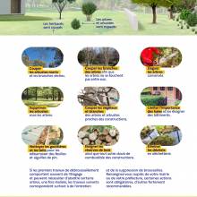 La biodiversité respectée