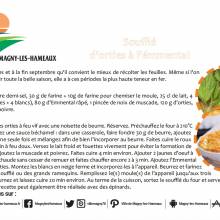 Soufflé d'orties à l'émmental