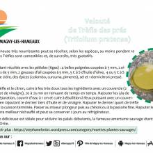 Velouté de trèfle des prés