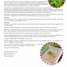 Crème aux oeufs à la Reine des Prés