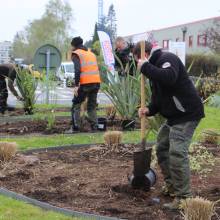 Le fleurissent évolue vers un fleurissement durable
