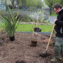 Le fleurissent évolue vers un fleurissement durable