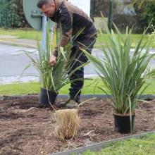 Le fleurissent évolue vers un fleurissement durable