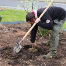 Le fleurissent évolue vers un fleurissement durable
