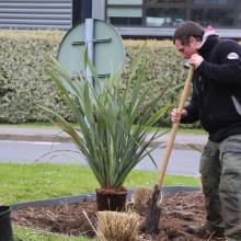 Le fleurissent évolue vers un fleurissement durable