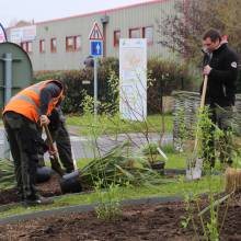 Le fleurissent évolue vers un fleurissement durable
