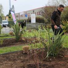 Le fleurissent évolue vers un fleurissement durable