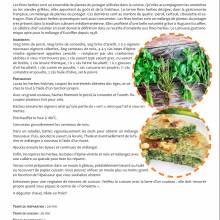 Kuzu Sabzi ou omelette aux fines herbes, noix et baies d'épine-vientte