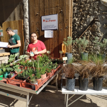 La ferme école à Buloyer distribue en circuit court