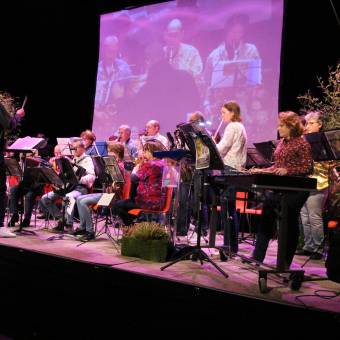 Cérémonie des voeux de la Ville