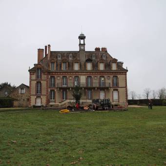 Un nouveau cèdre dans le parc du Musée national de Port-Royal des Champs