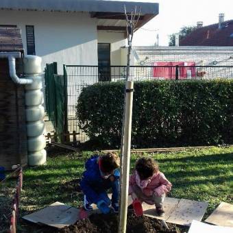 Plantation à l'école Corot
