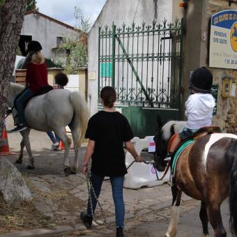 Après-midi portes ouvertes des Écuries de la Vallée de Chevreuse