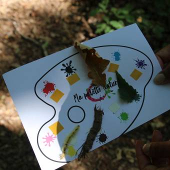 Evadez-vous cet été • L'arbre et la forêt