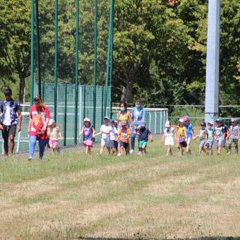 Thranshumance des mules Guiness et Tempête