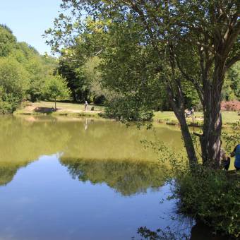 Une après-midi au soleil des Étangs de Romainville