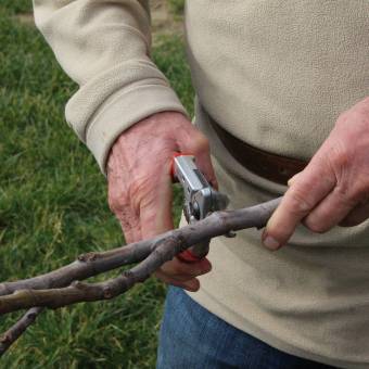 Formation des agents des services espaces verts