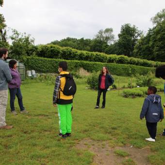 Un arbre, c'est quoi ?