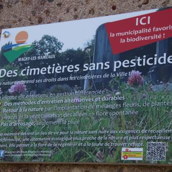 Passage du  jury départemental des trophées yvelinois 2021 sur la thématique des cimetières naturels 