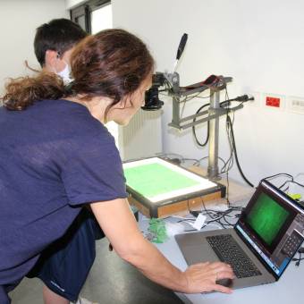 Stage cinéma d'animation "Stop motion"