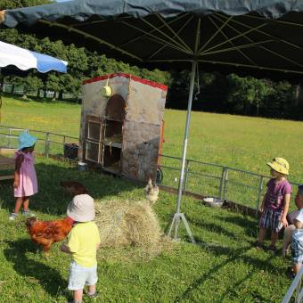 Une journée à la Ferme de Tiligolo, à Magny-les-Hameaux