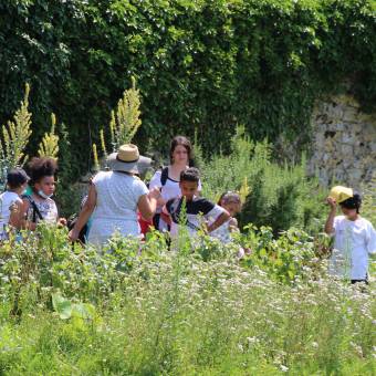 Deux temps fort à Port-Royal des Champs : Évadez-vous cet été & C'est mon patrimoine