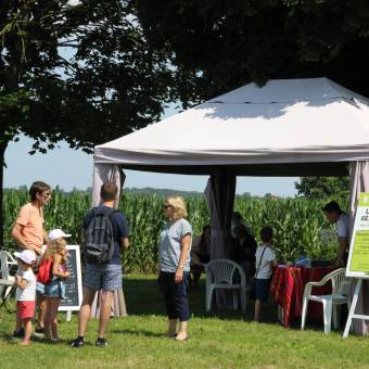 Perdez-vous dans le labyrinthe géant de maïs