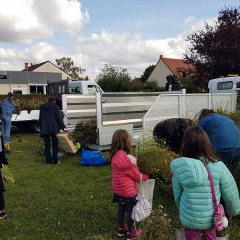 Distribution gratuite de fleurs et atelier « comment entretenir ses outils de jardinage »